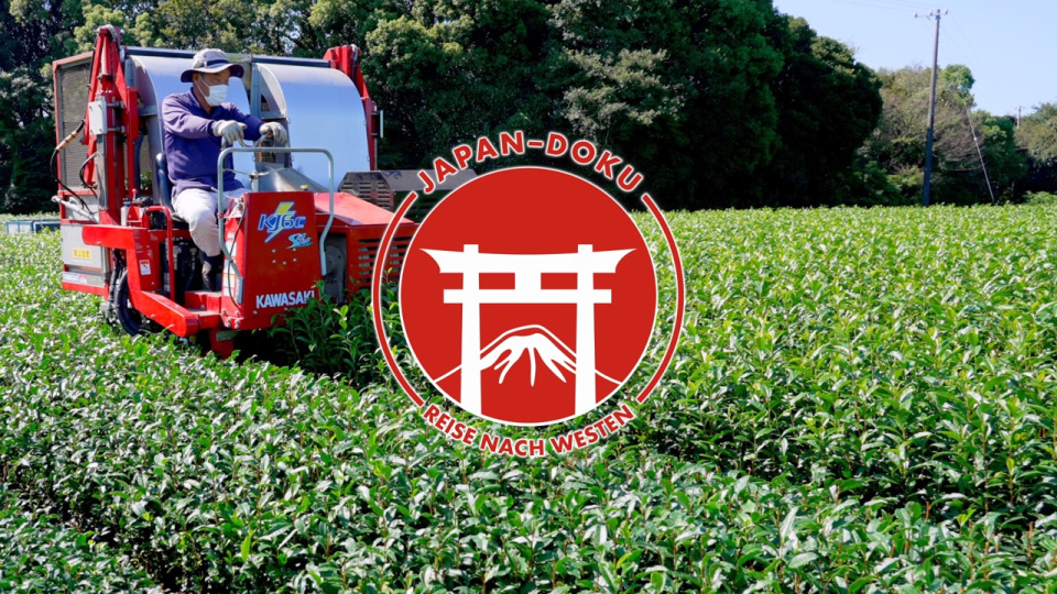 Japandoku Westen, Folge 7: Von der Düne zur Teeplantage
