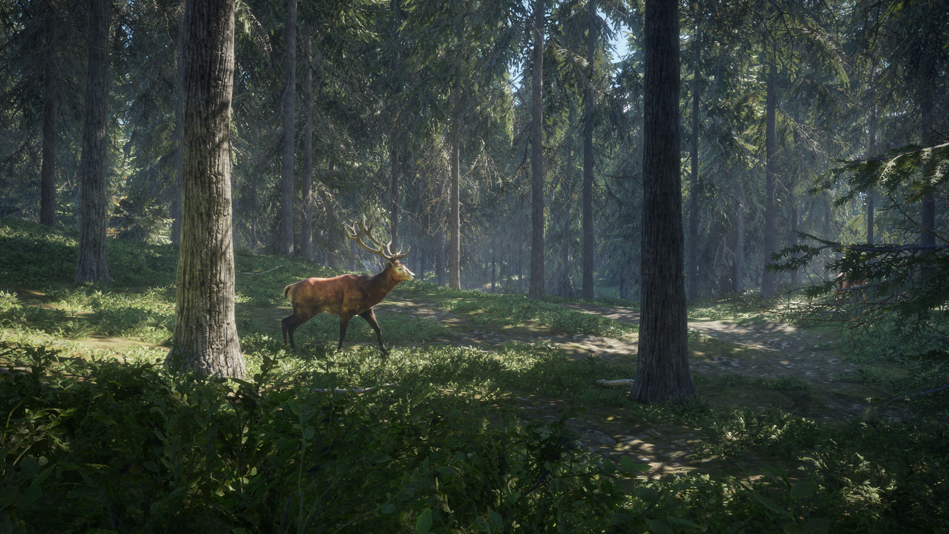 mod the hunter call of the wild