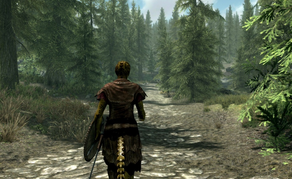 The Elder Scrolls V: Skyrim Special Edition download the new for ios