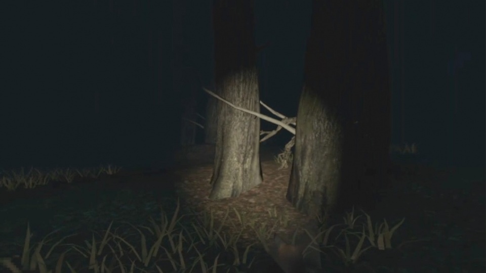 Blair Witch Oculus Quest Edition Test Gamersglobalde 9710